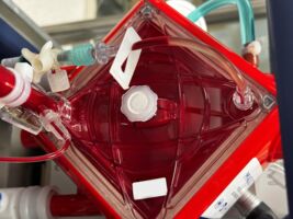 Symbolbild 2_ECMO eröffnet neue Überlebenschancen ©VLKH.jpg