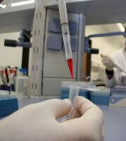 Symbolbild_VIVIT 1_cup.jpg