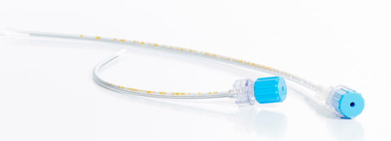 3D-Zellkulturen_ (c)CO.DON Human Cell Experts2.jpg.png