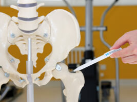 LKHB FLS_Symbolbild_Osteoporose_moegliche Bruchstellen_Huefte.jpg