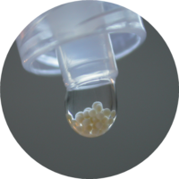 3D-Zellkulturen_ (c)CO.DON Human Cell Experts1.png