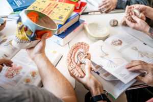 Symbolbild Pflegeausbildung1 ©Karin Nussbaumer.jpg
