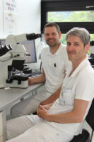 Mikrobiologisches Team_DrStockinger_DrDirschmid_Mikroskop_k.jpg