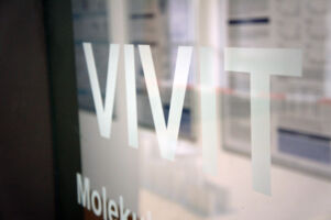 202011_Symbolbild_VIVIT (7).jpg