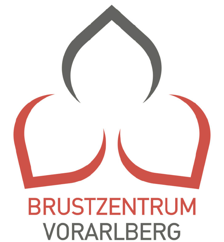 logo bzv.jpg