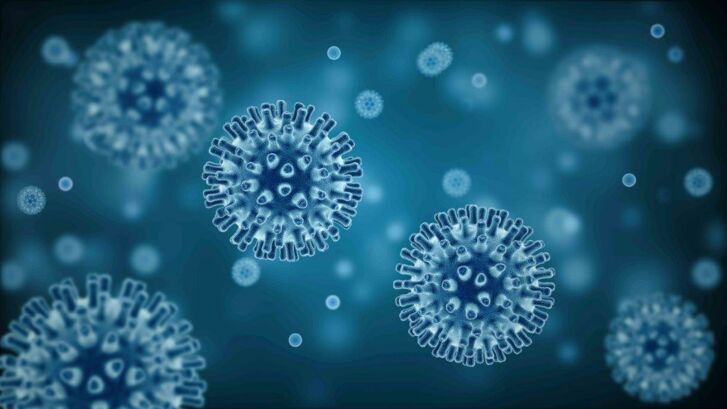 Influenza Virus_istock.jpg